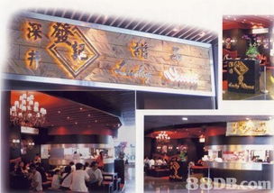 自助網(wǎng)頁設計咨詢 從零開始構建你的在線品牌