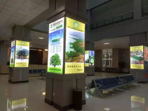 青海西寧雄盛燈箱廠 以品質(zhì)與誠信點亮旅游服務(wù)新篇章